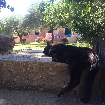 Elba Casa Vacanze *